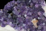 Purple, Cubic Fluorite Plate - Cave-in-Rock (Special Price) #35710-3